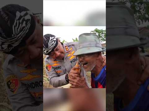 Kapolres Serang Panen Jagung 1 Hektare dapat 4 Ton, Tanam Kacang siapkan bibit Unggul #shorts #trend