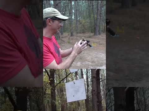 Tiny Suppressed 22 Pistol - Long Range #shorts