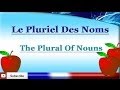 Mastering French Noun Plurals
