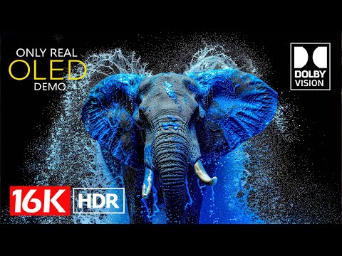 The Coolest Dolby Vision 16K HDR 60fps (8K Video ULTRA HD)