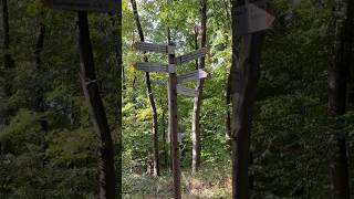18 km through the Teutoburg Forest — from Oerlinghausen all the way to the Hermannsdenkmal.