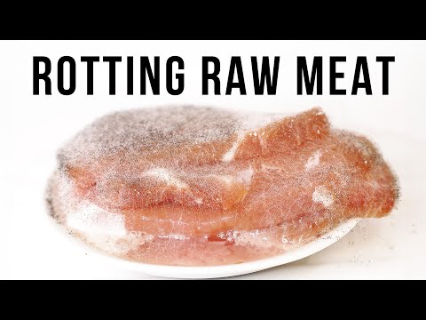 Raw Chicken Steak - Meat Timelapse