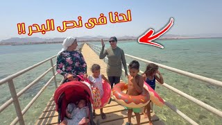 بنت صغيرة فى أطول رحله داخل البحر الأحمر - شوف حصل أية !!