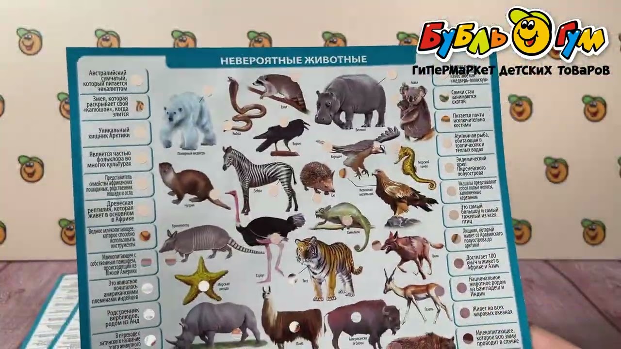 Электровикторина Conector Кругосветное путешествие 352вопроса - видео