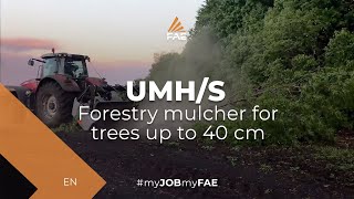 Video - UMH/S - UMH/S/HP - FAE UMH/S 225 - Forestry mulcher on 340 hp Masey Ferguson tractor