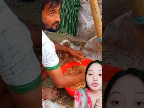 হাঁস-মুরগি বাজার থেকে কিনে আনবেন দেখুন #shorts #short #duck #chicken #feed #eting #viralshort