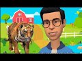 Understanding the Tiger's Plight