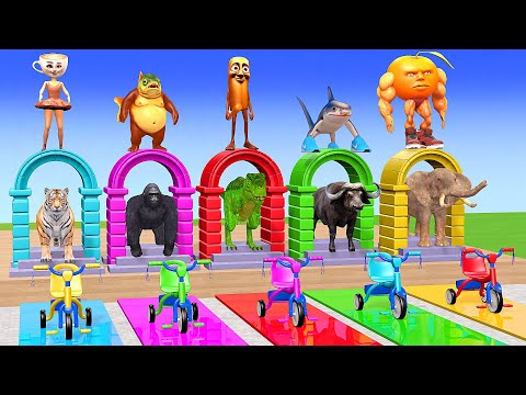 Long Slide Game With Cow Elephant Gorilla Hippopotamus Tiger - 3d Animal Game - Funny 3d Animals