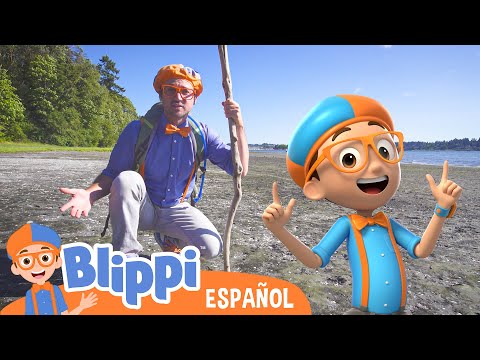 Blippi va a la playa 🏝️ Blippi Español + Blippi Wonders🧡💙