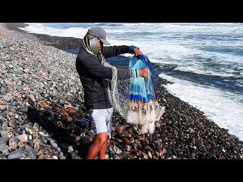 Increíbles Hechos de PESCA con Atarraya por Pescadores Profesionales Grabados en Mar Agitado