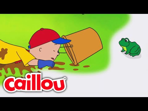 El salto cruzado de Caillou | Caillou Español Castellano - WildBrain | Películas para niños