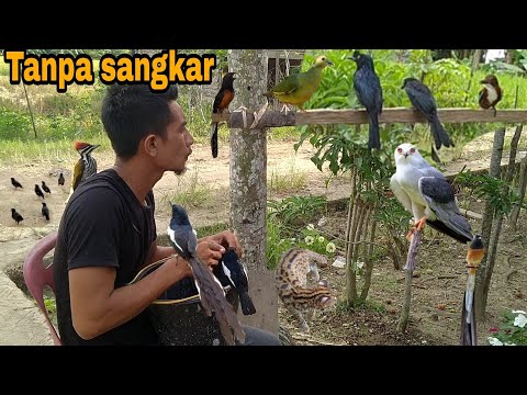 Banyak orang tidak percaya_semua pada jinak
