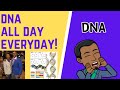 Understanding DNA Structure and Replication