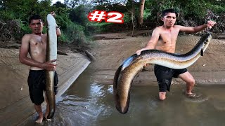 NÓ To Như Bắp Chân Của Tôi | 9 Năm Đi Ngủ Rừng Lần Đầu Chúng Tôi Chạm Mặt Được Loại To Như Thế Này 