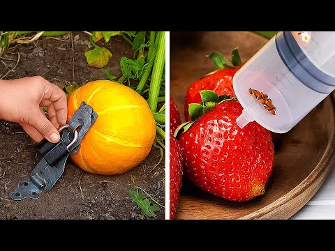 Trik Berkebun yang Benar-Benar Berhasil