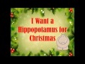 Hippopotamus-Themed Comprehension Questions