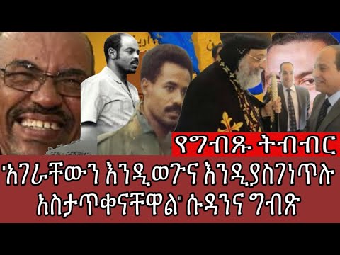 "አገራቸውን እንዲወጉና እንዲያስገነጥሉ አስታጥቀናቸዋል" ሱዳንና ግብጽ