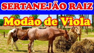 🎻 SERTANEJO RAIZ E PAGODÃO DE VIOLA CAIPIRA + de 1 hora de Modão