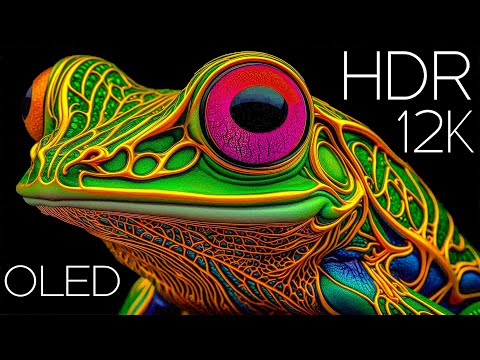 NATURE IN THE EYES OF 12K ULTRA HD Dolby Vision HDR 120FPS