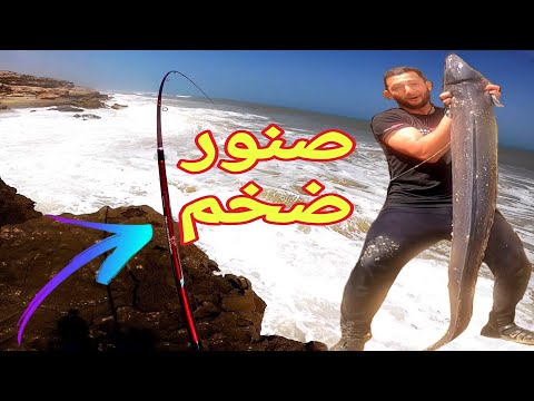 شاهد💥 أول يوم في رمضان 2023 فكانت المفاجأة مع وحش عملاق