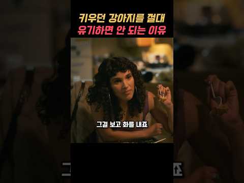키우던 강아지를 절대 유기하면 안되는 이유