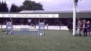 Amira Merzen Zeitspringen (2 p.)