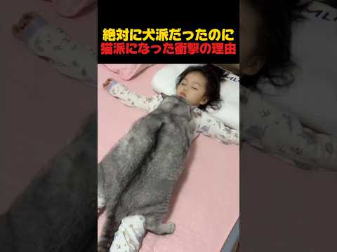 絶対に犬派だったのに…猫派になった衝撃の理由