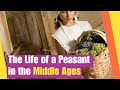 Feudal System and Peasant Life