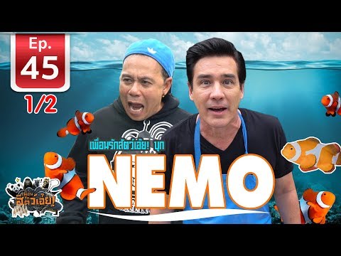 Clown fish  บุกบ้านนีโม่ - เพื่อนรักสัตว์เอ้ย EP 45 (1/2)