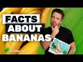 Banana Consumption and Health Facts
