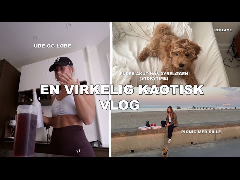 EN VIRKELIG KAOTISK VLOG; akut hos dyrelægen, er ude og løbe & picnic med Sille