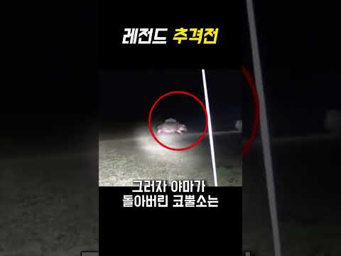 코뿔소가 화난 이유