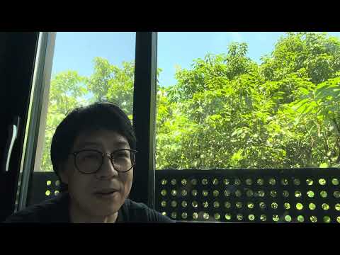 習給北戴河寫信：自己膝下無子不可能永遠坐皇位，提醒元老們警惕薄熙來父子捲土重來