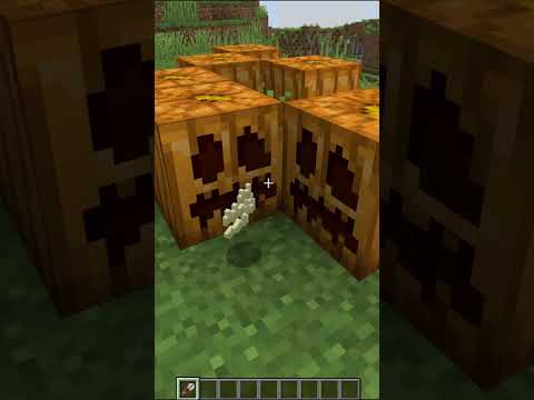 Item แปลกๆชิ้นไหนที่คนส่วนใหญ่ไม่รู้วิธีใช้งาน  #minecraft #merrust #พี่หมื่นรัก