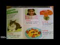 Understanding the Five Senses
