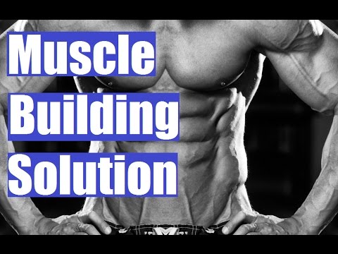 Why Building Muscle is Easier Than You Think
