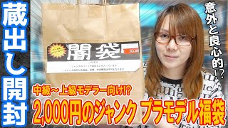 【福袋】秋葉原からの挑戦状!!2,000円のジャンクプラモデル福袋(闇袋)・開封【蔵出し】
