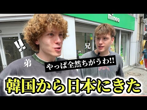 「やはり断然日本だわ...」韓国から来日した双子ドイツ人が日本と韓国の違いに衝撃を受ける!!【外国人の反応】