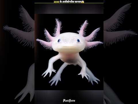 ALERT This Animals Are Exists 2030 FSPT_279l 😱😱|FactsMine | #shorts #factsero #viral