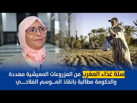 الفتحاوي: سلة غذاء المغرب من المزروعات المعيشية مهددة والحكومة مطالبة بانقاذ الموسم الفلاحي