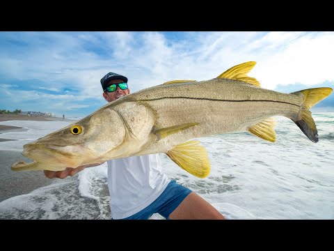 ILLEGAL to keep This Fish… GIANT Snook! Catch Clean Cook! ( 2024 Florida Mullet Run)