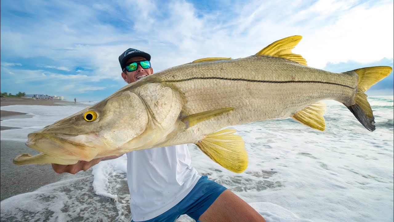 ILLEGAL to keep This Fish GIANT Snook! Catch Clean Cook! ( 2024 Florida Mullet Run)