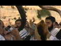Religions monothéistes et leurs croyances