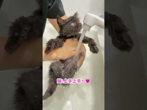 拾った猫をシャンプーした日🧴