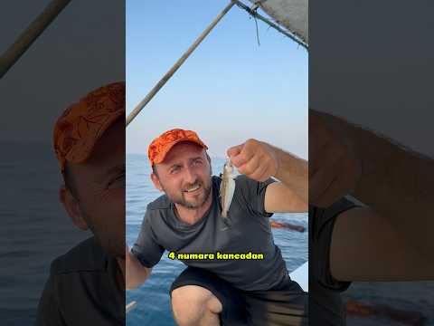 Tehlikeli balık trakonya #keşfet #fishing