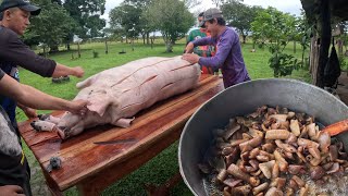 Amigos de la Pesca cap 40: Logramos una captura de 400 libras pero no fue un pescado, Marraniando.