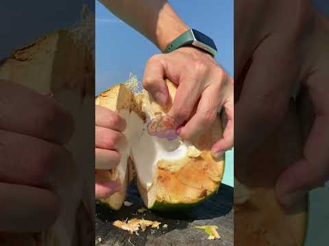 Você sabe de onde vem a água de coco?