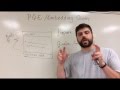Integrating Quotes in Writing