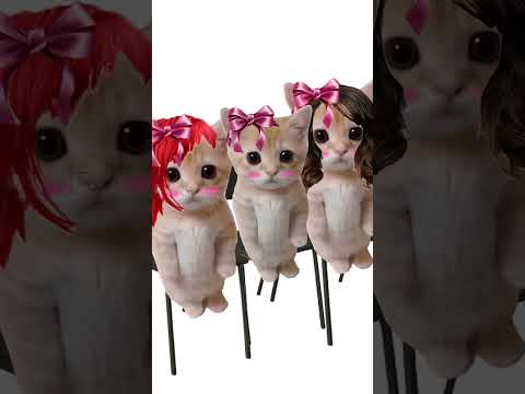 Как работает синдром Даннинга Крюгера? Кисы объясняют 😻