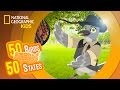 Exploring Texas Birds with Barry and MC Tex